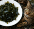 Is Seaweed Safe for Cats Nutrition & Warning Signs