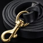 Close-up of Solid Brass Buckle and D-ring on Black Leather Dog Leash