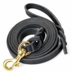 Genuine Black Leather Dog Leash with Brass Buckle on White Background