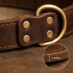Close-up of full-grain leather texture and double stitching on vintage brown dog collar