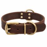 Vintage brown leather dog collar with antique gold buckle on white background