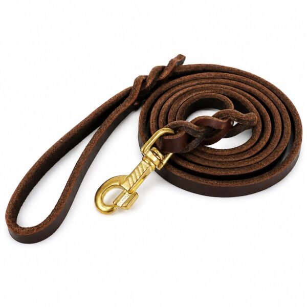 Genuine Brown Leather Dog Leash with Brass Buckle