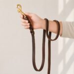 Hand Holding Genuine Brown Leather Dog Leash with Brass Buckle