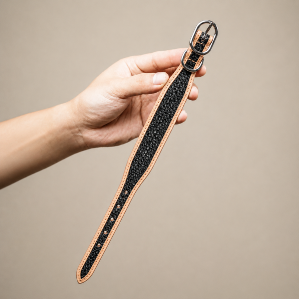 Black Stingray Leather Double Pin Buckle Pet Collar